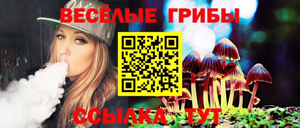 Галлюциногенные грибы мицелий Рузаевка