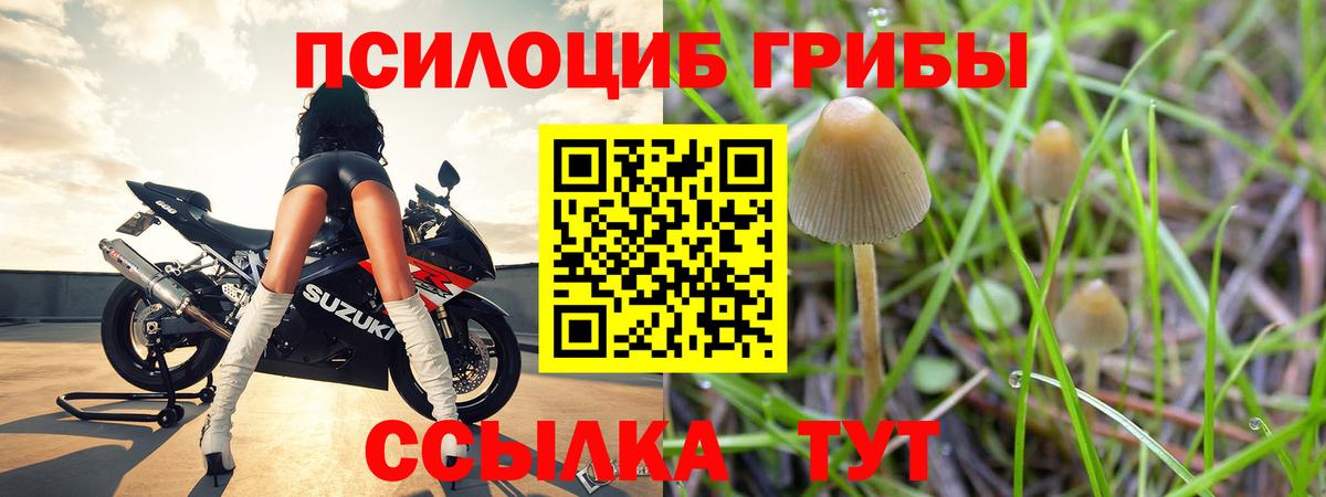 Галлюциногенные грибы ЛСД  Вход с VPN  Рузаевка  Псилоцибиновые грибы Cubensis 